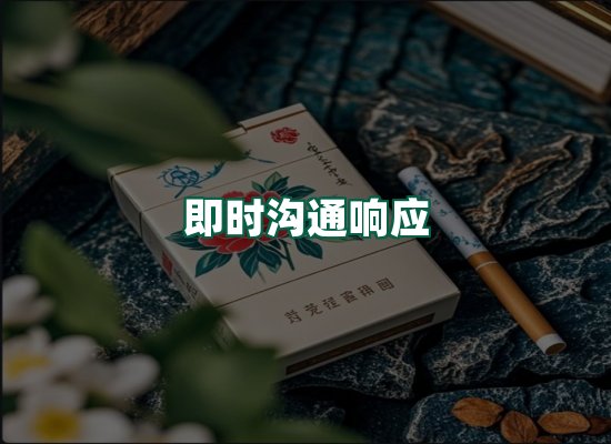 核心优势
